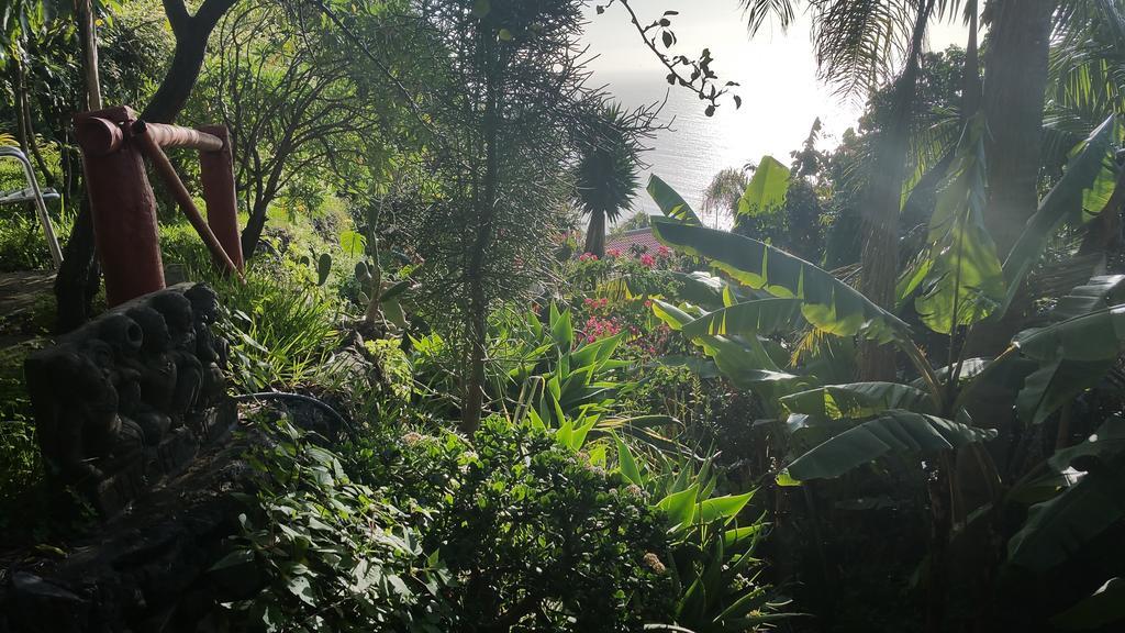 Dazkarizeh73 Villa Ribeira Brava Kültér fotó