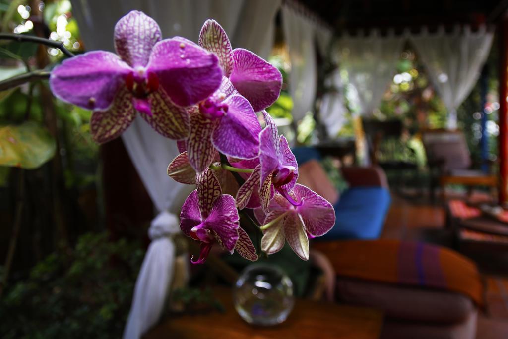 Dazkarizeh73 Villa Ribeira Brava Kültér fotó